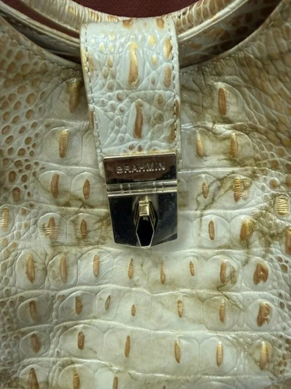 Brahmin chic python